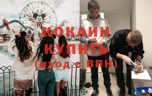 тгк Кукмор
