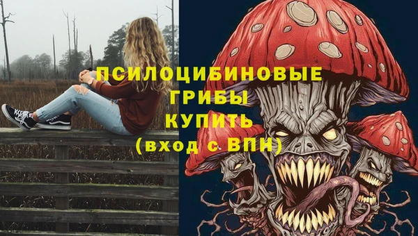 mdpv Куйбышев